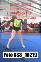 CS3_10219-