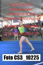 CS3_10225-
