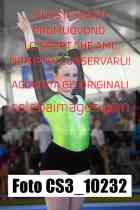 CS3_10232-