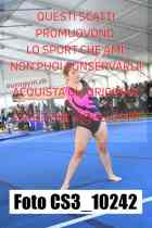 CS3_10242-