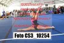 CS3_10254-