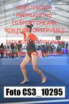 CS3_10295-