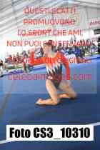 CS3_10310-