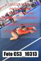 CS3_10313-