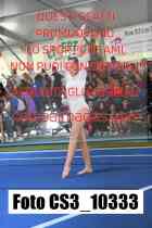 CS3_10333-