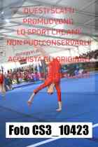 CS3_10423-