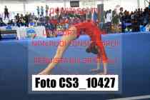 CS3_10427-