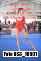 CS3_10501-