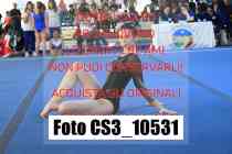 CS3_10531-