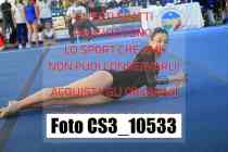 CS3_10533-