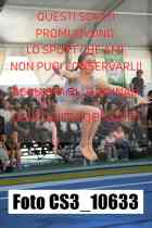 CS3_10633-