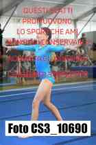 CS3_10690-
