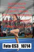 CS3_10714-