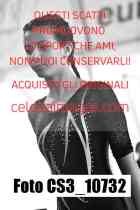 CS3_10732-