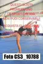 CS3_10788-