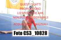 CS3_10828-