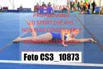 CS3_10873-