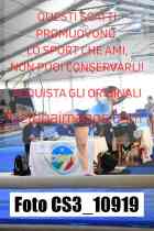 CS3_10919-