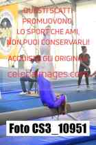 CS3_10951-