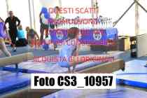 CS3_10957-