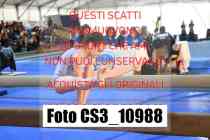 CS3_10988-