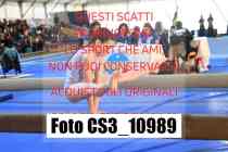 CS3_10989-