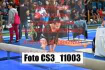CS3_11003-