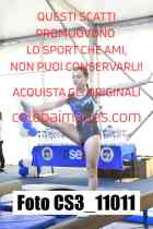 CS3_11011-