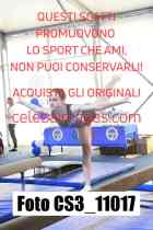 CS3_11017-