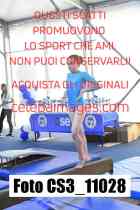 CS3_11028-
