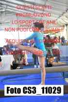 CS3_11029-