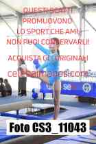 CS3_11043-