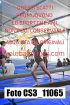 CS3_11065-