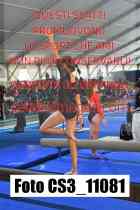 CS3_11081-