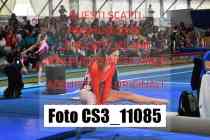 CS3_11085-