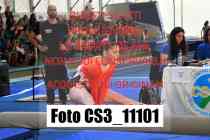 CS3_11101-