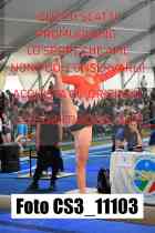CS3_11103-