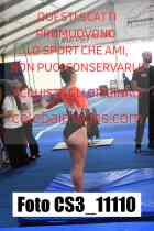 CS3_11110-