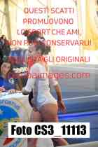 CS3_11113-