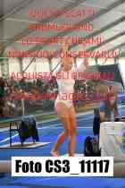 CS3_11117-