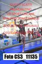 CS3_11135-