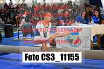 CS3_11155-