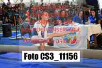 CS3_11156-