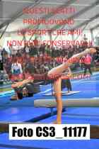 CS3_11177-