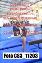 CS3_11203-