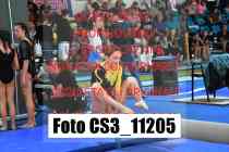 CS3_11205-