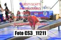 CS3_11211-