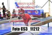 CS3_11212-