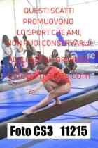 CS3_11215-
