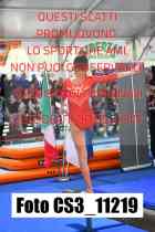 CS3_11219-
